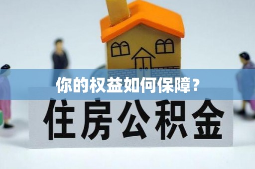 新社你的权益如何保障？