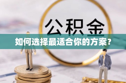 新社如何选择最适合你的方案？