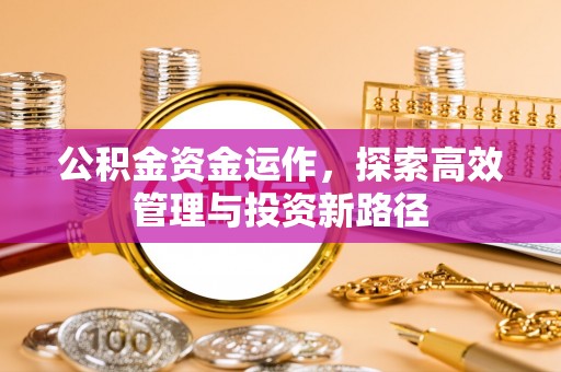 新社公积金资金运作，探索高效管理与投资新路径
