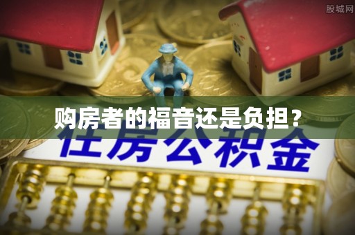 新社购房者的福音还是负担？