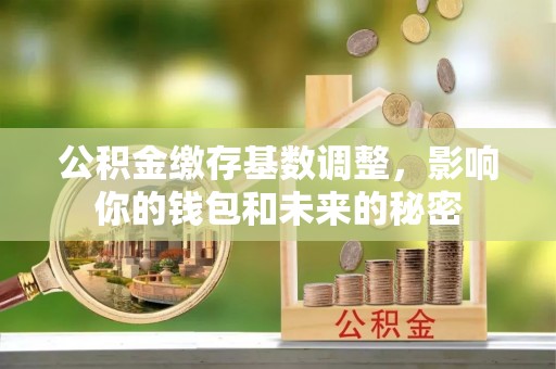 新社公积金缴存基数调整，影响你的钱包和未来的秘密