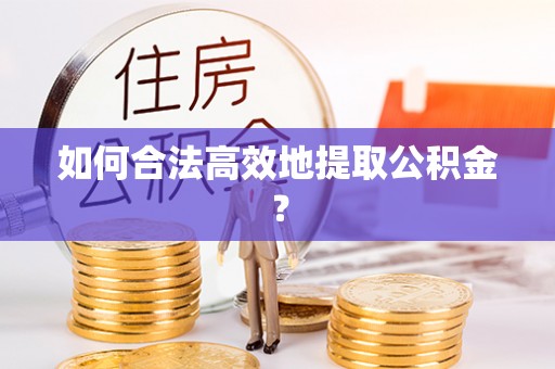 新社如何合法高效地提取公积金？