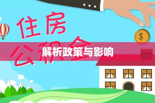 新社解析政策与影响