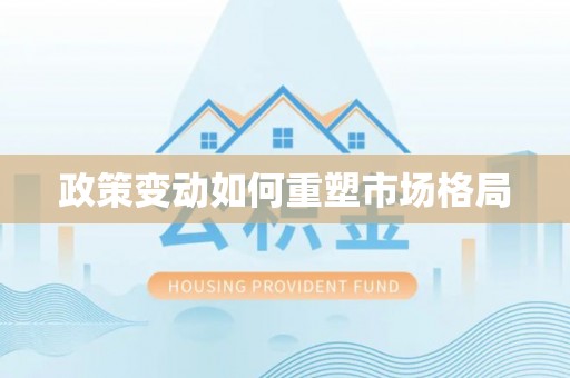 新社政策变动如何重塑市场格局