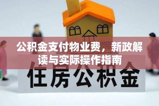 新社公积金支付物业费，新政解读与实际操作指南