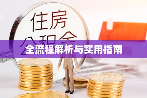 新社全流程解析与实用指南