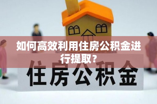 新社如何高效利用住房公积金进行提取？