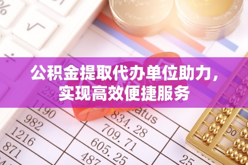 新社公积金提取代办单位助力，实现高效便捷服务