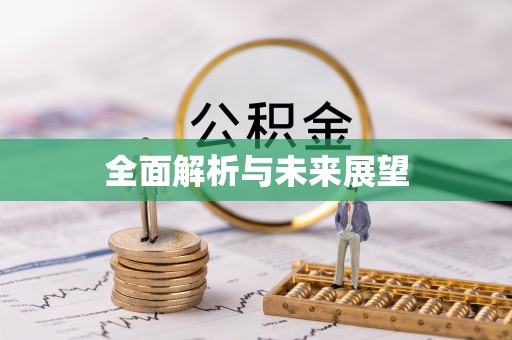 新社全面解析与未来展望