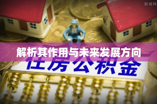 新社解析其作用与未来发展方向
