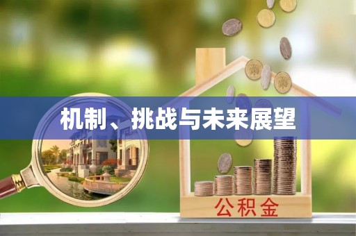 新社机制、挑战与未来展望
