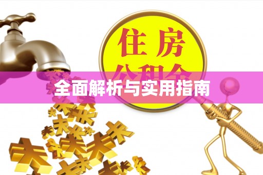 新社全面解析与实用指南