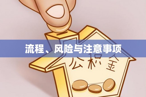 新社流程、风险与注意事项