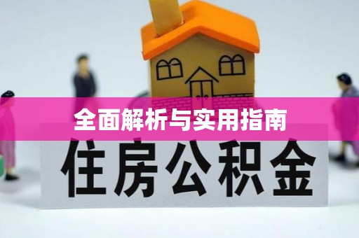 新社全面解析与实用指南