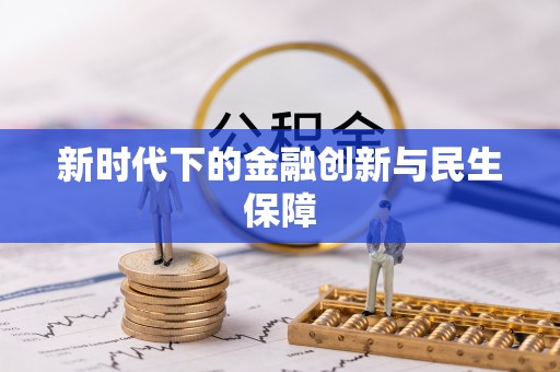 新社新时代下的金融创新与民生保障