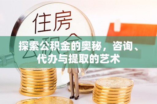 新社探索公积金的奥秘，咨询、代办与提取的艺术